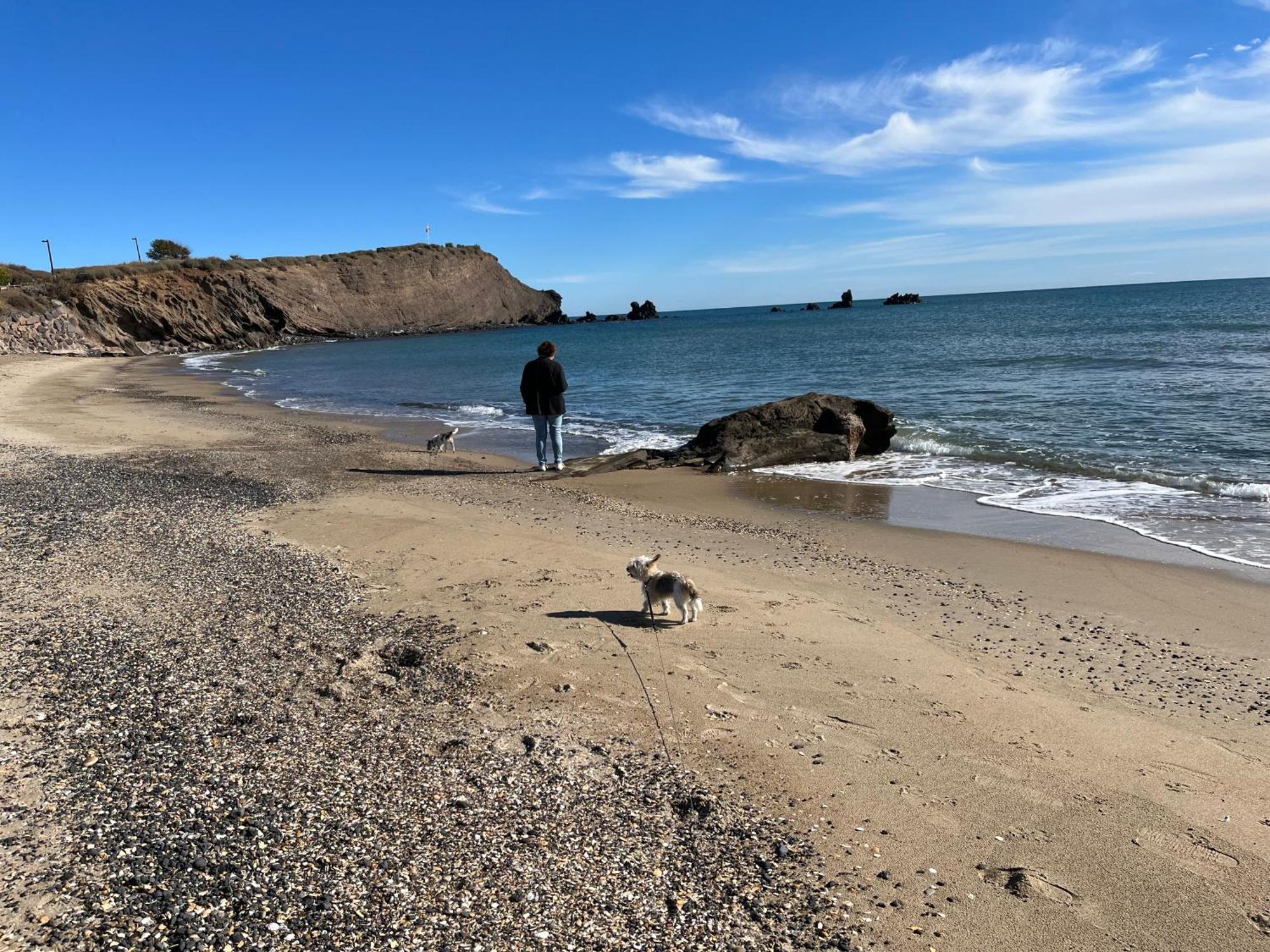 34300 Le Cap D'Agde Leilighet Eksteriør bilde